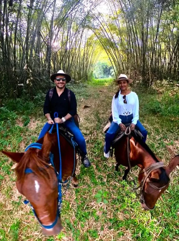 Two riders on horseback on a bamboo-lined trail in the Coffee Region