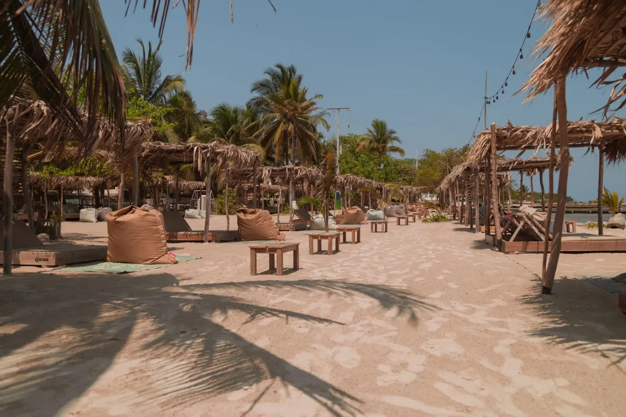 Camino del beach club entre palmeras y cabañas de palma