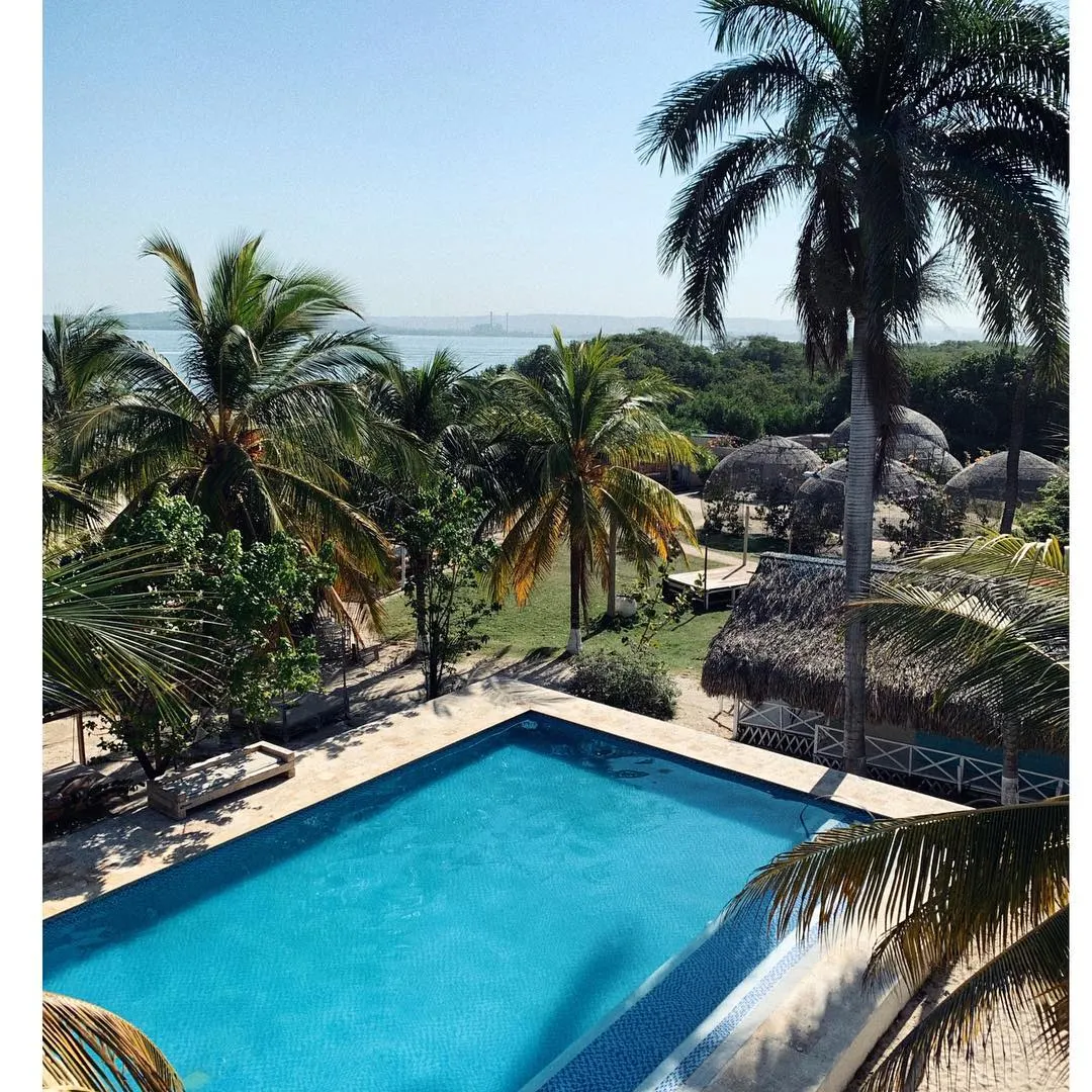 Piscina rodeada de palmeras en el beach club