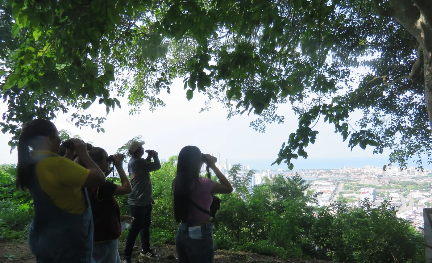 Birdwatchers with binoculars under a tree