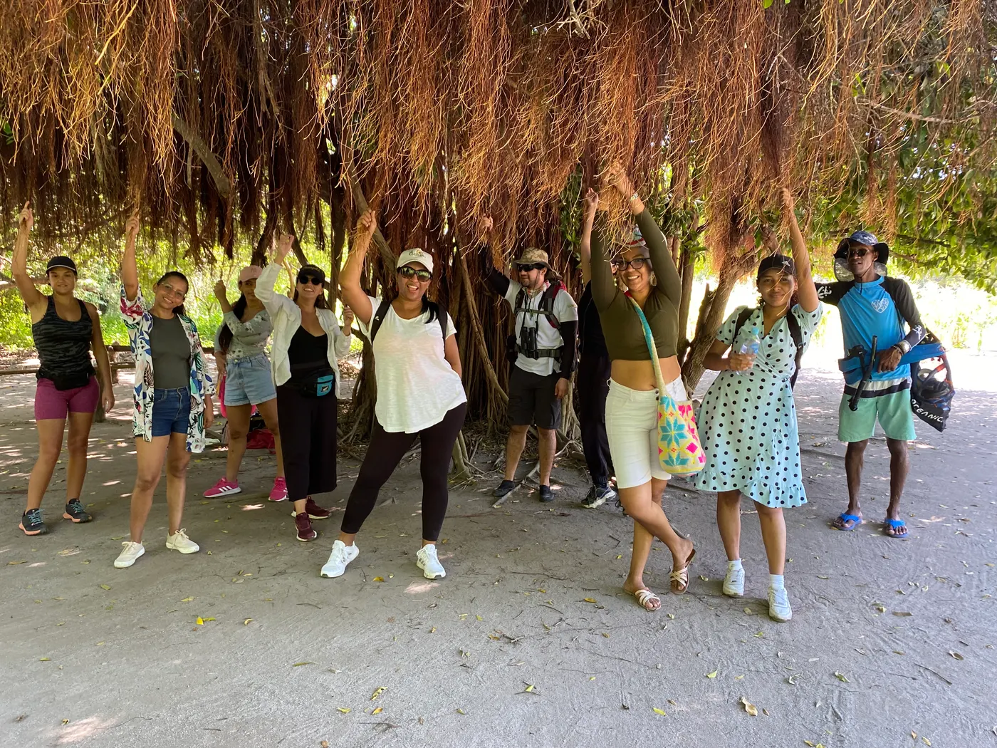 Group of travelers with raised arms under a tree on the beach